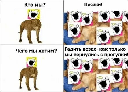 Пес без мата
