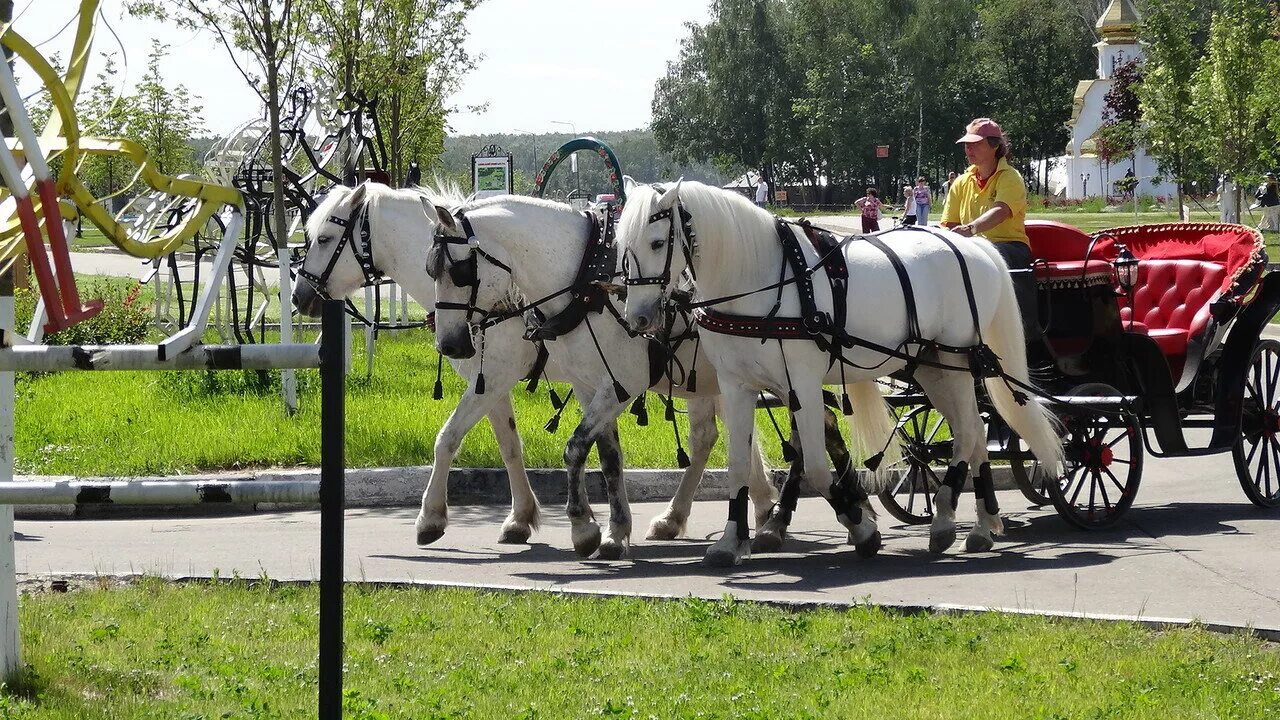 Лошадка в парке