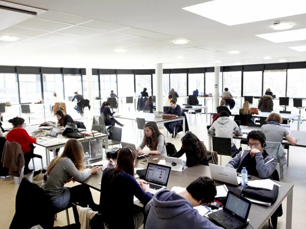 I learn center. Learning centre. essec business school выпускной. international learning centre. data learning centre urganch.