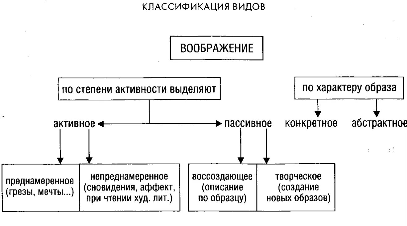 Типы воображения в психологии. Виды воображения схема. Схемы классификаций видов воображения.. Классификация видов воображения в психологии.