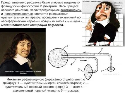 Представлять р