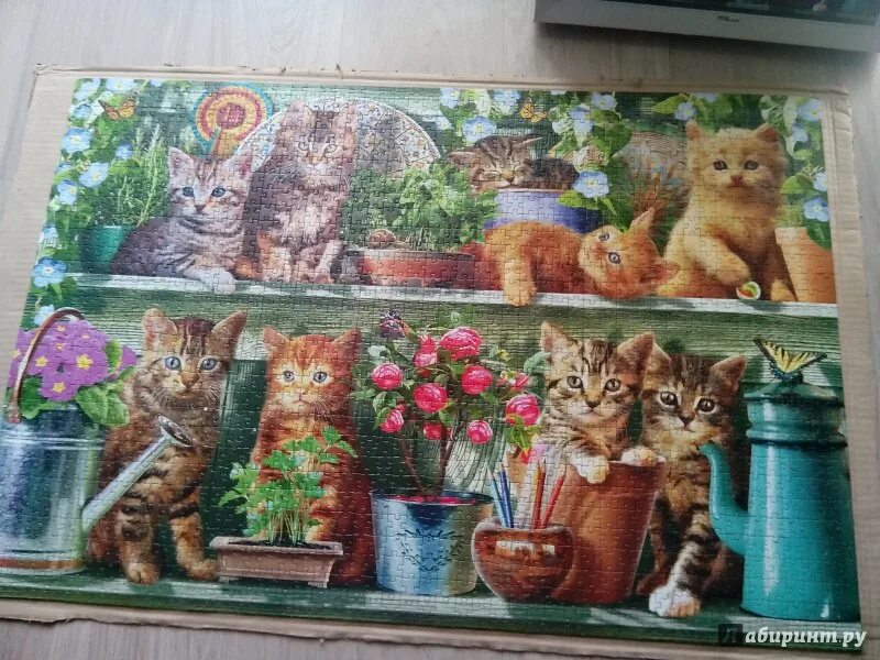 Пазлы котята собранные. Пазл Step Puzzle animal collection котята (83022), 1500 дет.. Пазл Step 1500. Пазл котята 1500. Пазлы на 1500 деталей котята.