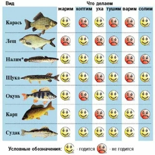 Речные рыбы таблица. Пресноводные рыбы таблица. Полезное для рыбалки. Виды рыбы для готовки. Клева имя