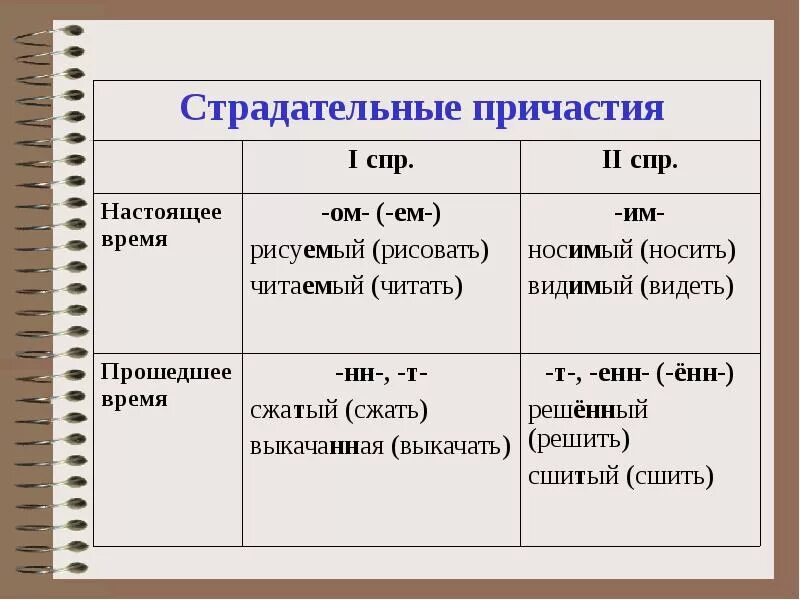 Какие словосочетания содержат страдательные причастия. Что такое Причастие в русском языке 8 класс. Действительные причастия настоящего времени от глагола 1 спряжения. Как определить Причастие в русском языке. Пример страдательные причастия пример.