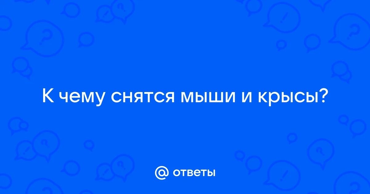 Приснились мыши к чему этот сон. Сонник летучая мышь. К чему снятся мыши во сне. К чему снятся мыши. К чему снится снятся крысы.