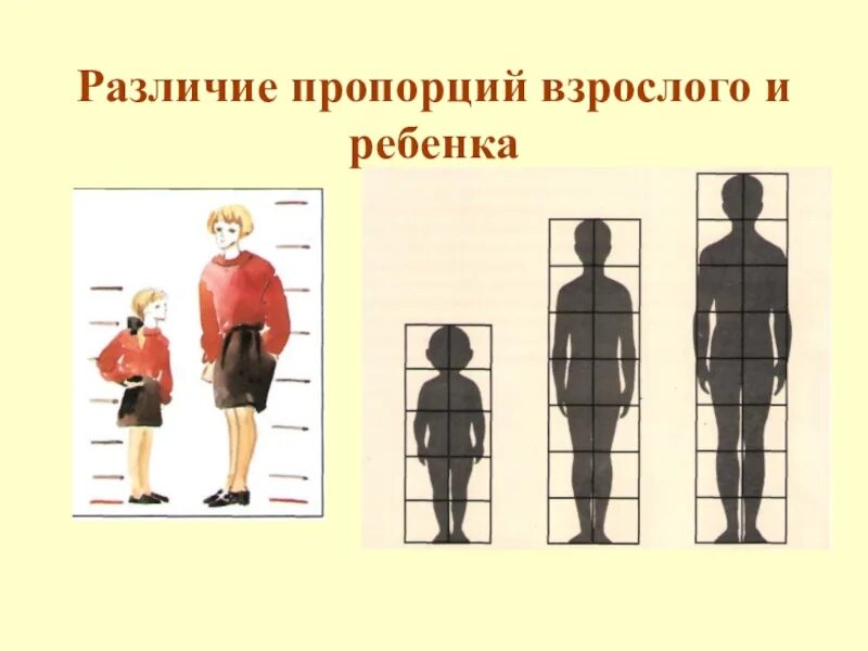 Различие детей и взрослых. Пропорции фигуры человека. Пропорции взрослого человека и ребенка. Пропорции человека рисунок. Пропорции тела человека изо.