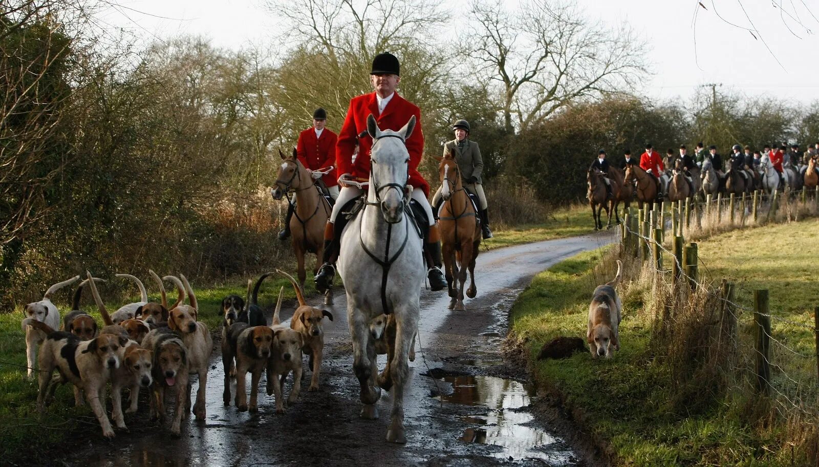 Fox hunting. Охота на Лис в Британии. Лисья охота в Англии. Королевская охота в Англии. Конная охота в Англии.