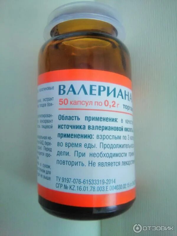 Валерьяна в капсулах. Валерьяна в капсулах. Валерьянка в капсулах. Валериана в капсулах. Валерьянка в капсулах.