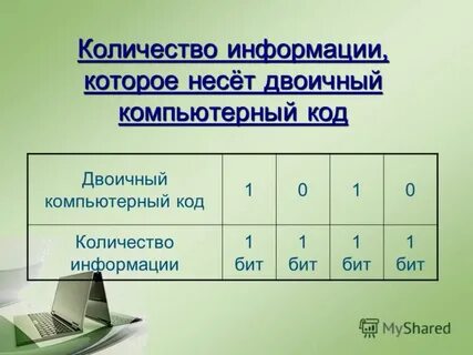 Объем знаний 8 букв