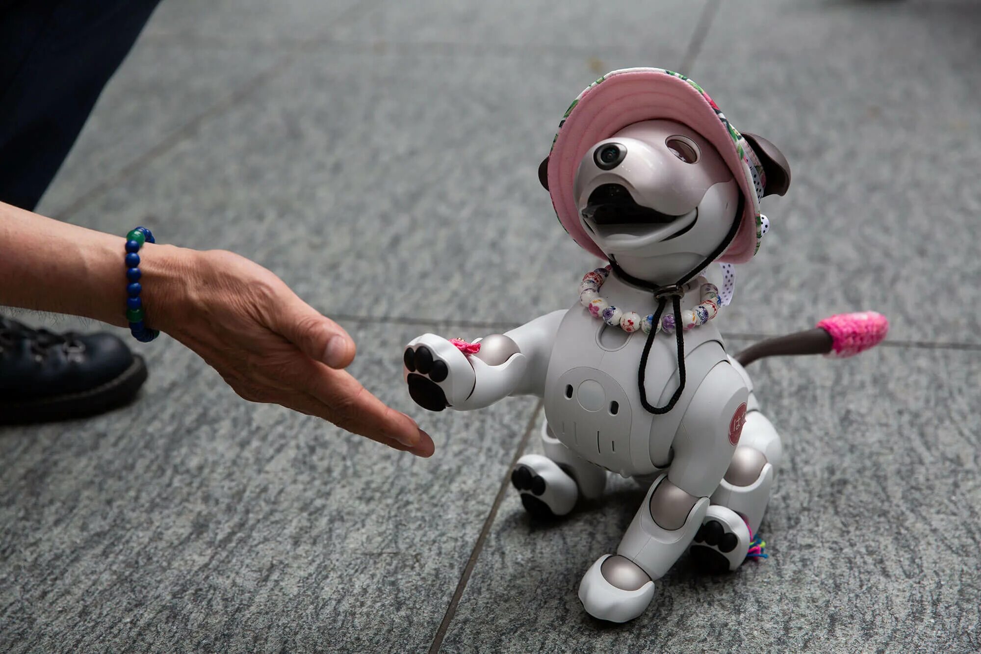 Танец роботов собак на открытии игр. Собака робот айбо. sony aibo. собака андроид робот. роботизированная собака.