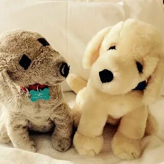 Одинаковые игрушки