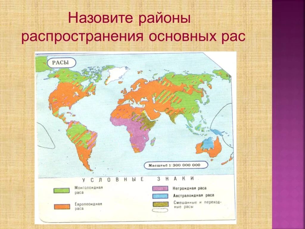 Распространение людей на земле сообщение. Карта расселения рас. Места расселения рас. Расы людей на карте. Распространение рас на земле.