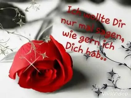 Ich wollte
