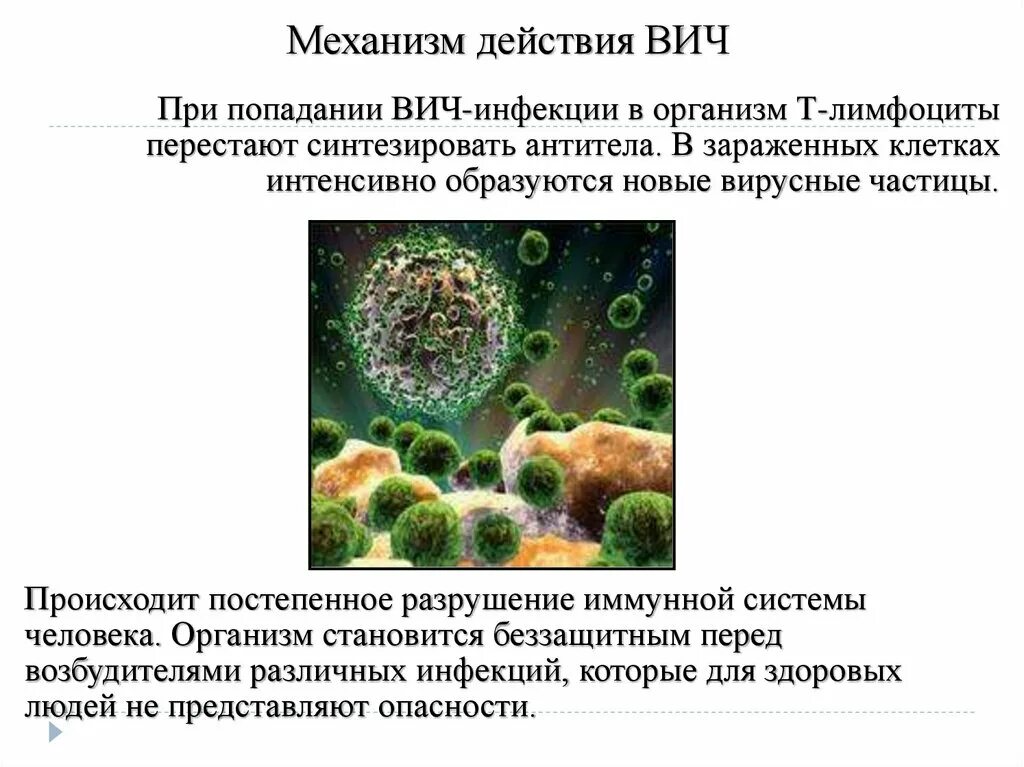 Клетки иммунной системы которые поражает ВИЧ. ВИЧ поражает клетки иммунной системы. Каков механизм возникновения иммунодефицита при ВИЧ-инфекции. Вирус иммунодефицита человека поражает.