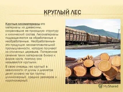 Классификация лесоматериалов