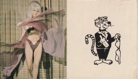 True Burlesque Bob Crane and the Cat. 