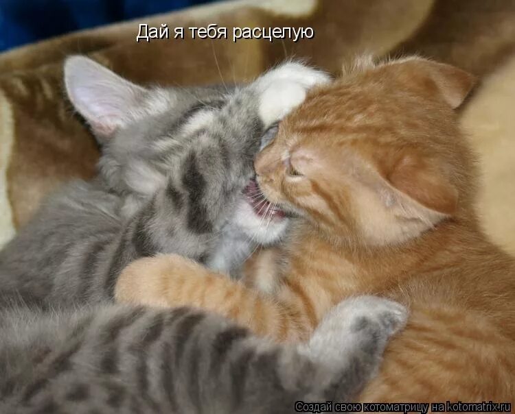 Фабрика заколдую зацелую. Фабрика _я тебя. Мужчина несет женщину на руках. Несет на руках. Я тебя зацелую обниму сильно ремикс.