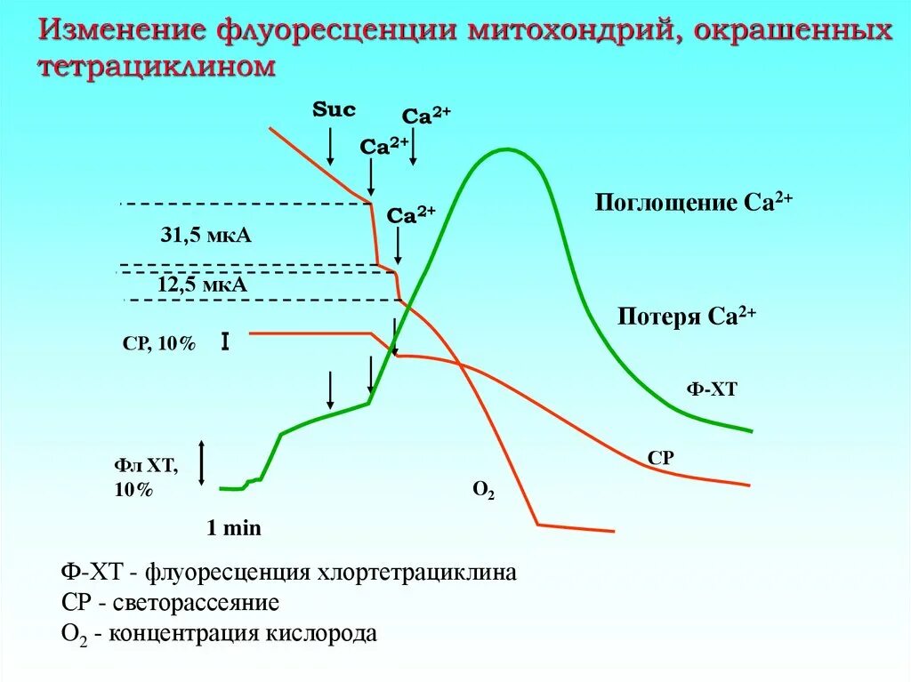 Зависимость флуоресценции от концентрации. Поглощение флуоресценция. Интенсивность флуоресценции от концентрации. Изменение флуоресценции.