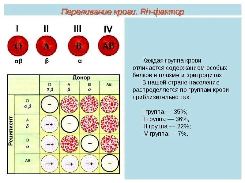 Резус фактор эритроцитов