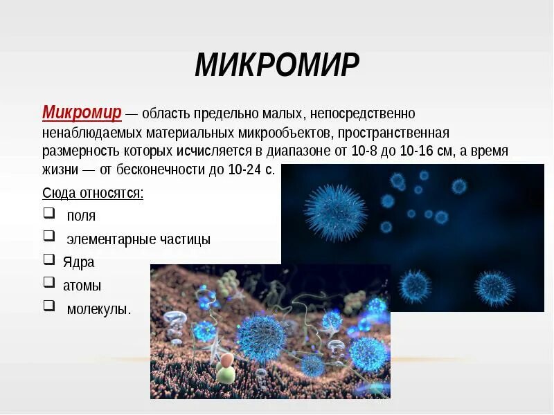 Микромир характеристика. Структура микромира. Микромир в структурной организации. Строение микромира. Микро презентация