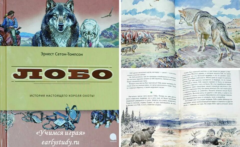 Энциклопедия про Волков. Книги про Волков. Книга волк. Детские книги про Волков. Авраменко волк читать