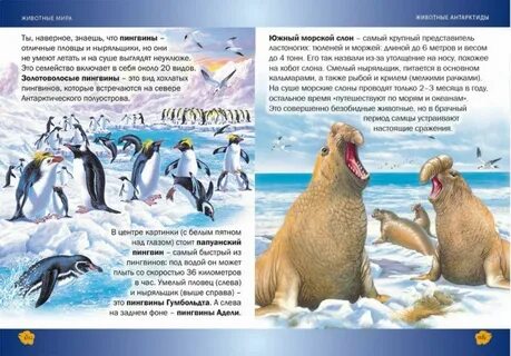 Консультация северный 2
