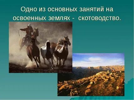 Основные занятия сша