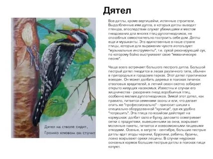 Многое умеют птицы впр 5