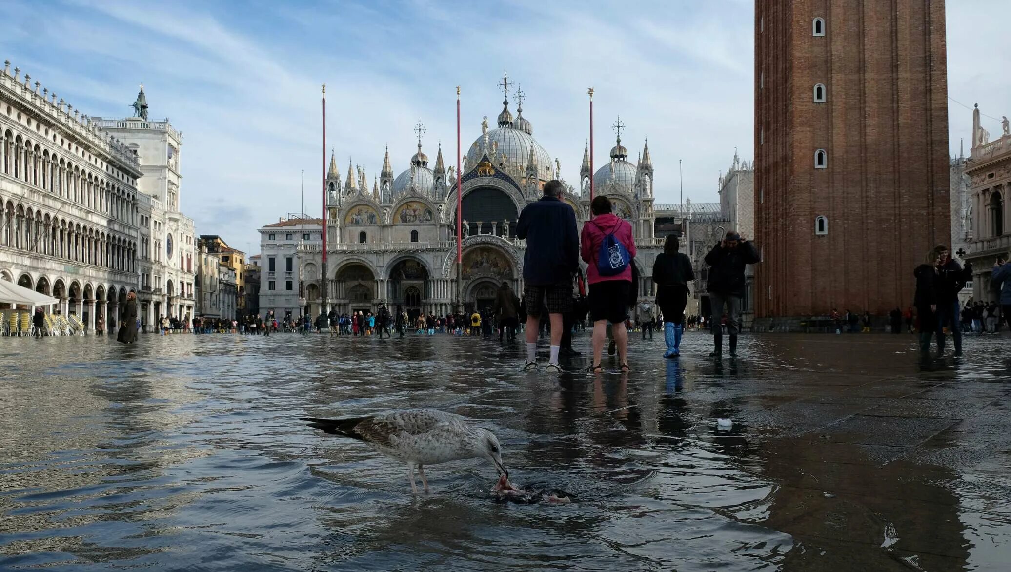 Почему венеция на воде