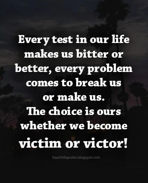 Our Life is a choice. Every all Test. You read well перевод