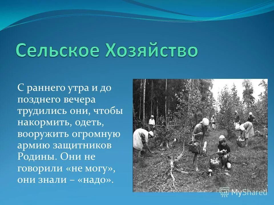 природа деревня. с раннего утра до позднего вечера. шмуэль тряпичник праздник. с раннего утра до позднего вечера. летний пейзаж.