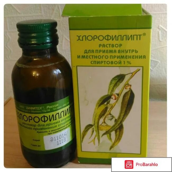 Хлорофиллипт для обработки горла ребенку. Хлорофиллипт обработать зев. Хлорофиллипт спиртовой для новорожденных. Обработка пупка хлорофиллиптом. Хлорофиллипт спиртовой для пупка.