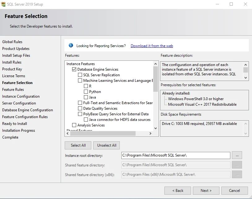 SQL Server 2019 программа. SQL Server 2019 developer ограничения. Select component. Server 2019 ключи