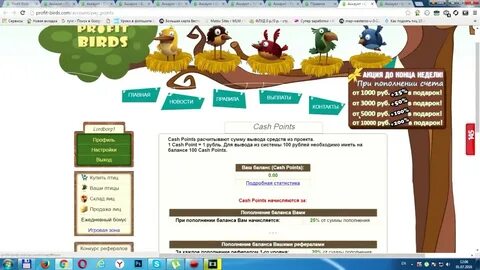 Profit birds