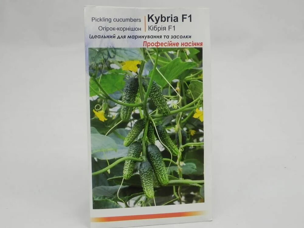 фон для магазина семян. семена в профессиональной упаковке. сертификация продуктов питания. кабачок амджад фото. овощи семена картинка с надписью фото.