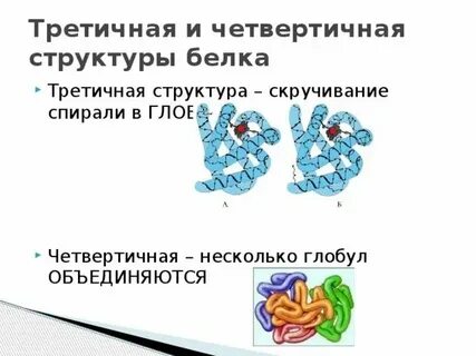 Представляет собой несколько глобул