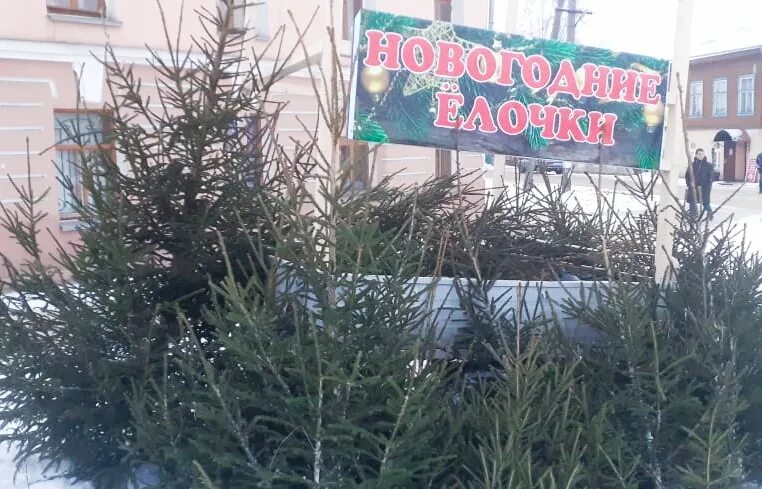 живая и мертвая вода. где взять трафик. аппарат для питьевой воды на улице. сообщение о живой и мертвой воде. новогодние базары вологда.