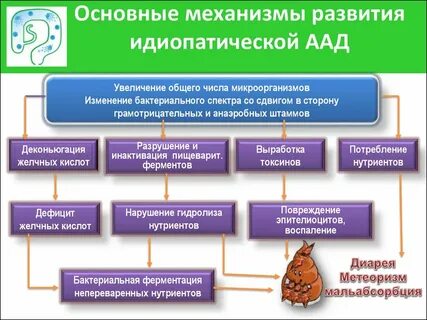 Сайт реабилитологов клинические рекомендации