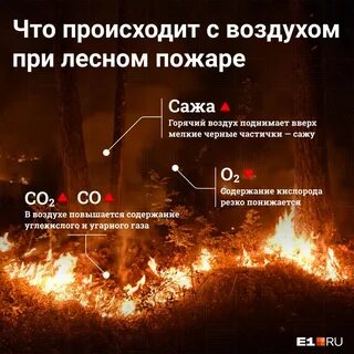 В воздух поднялись