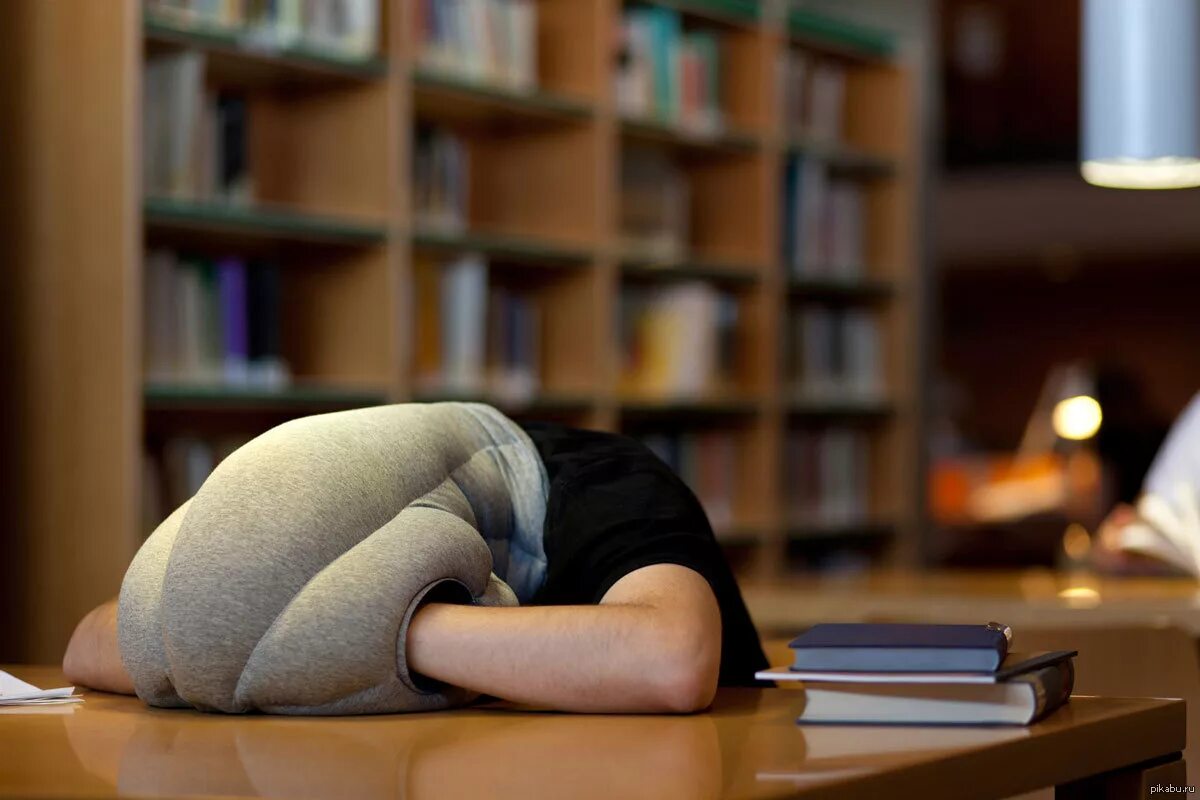 Сплю на парте. Подушка ostrich pillow. подушка страус для сна на рабочем месте. подушка для сна на парте. подушка чтобы спать на столе.