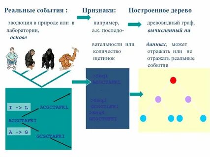 Признаки события