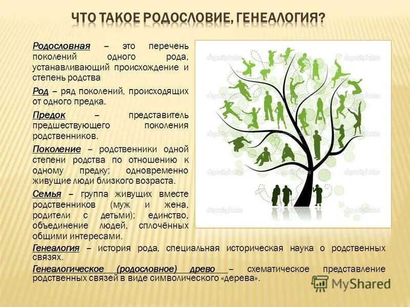 Родословная 2 класс. Моя родословная. Презентация родословной. Задание по окружающему миру 2 класс родословное дерево. Генеалогия это простыми словами.
