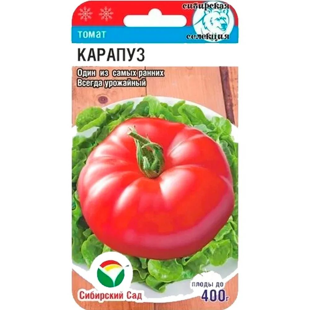 Сорт томатов пузо карапуза