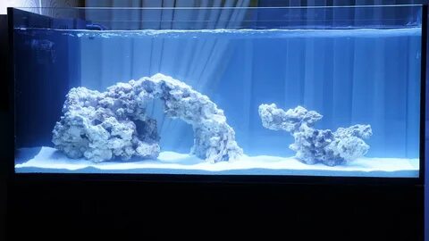 Соленость морского аквариума