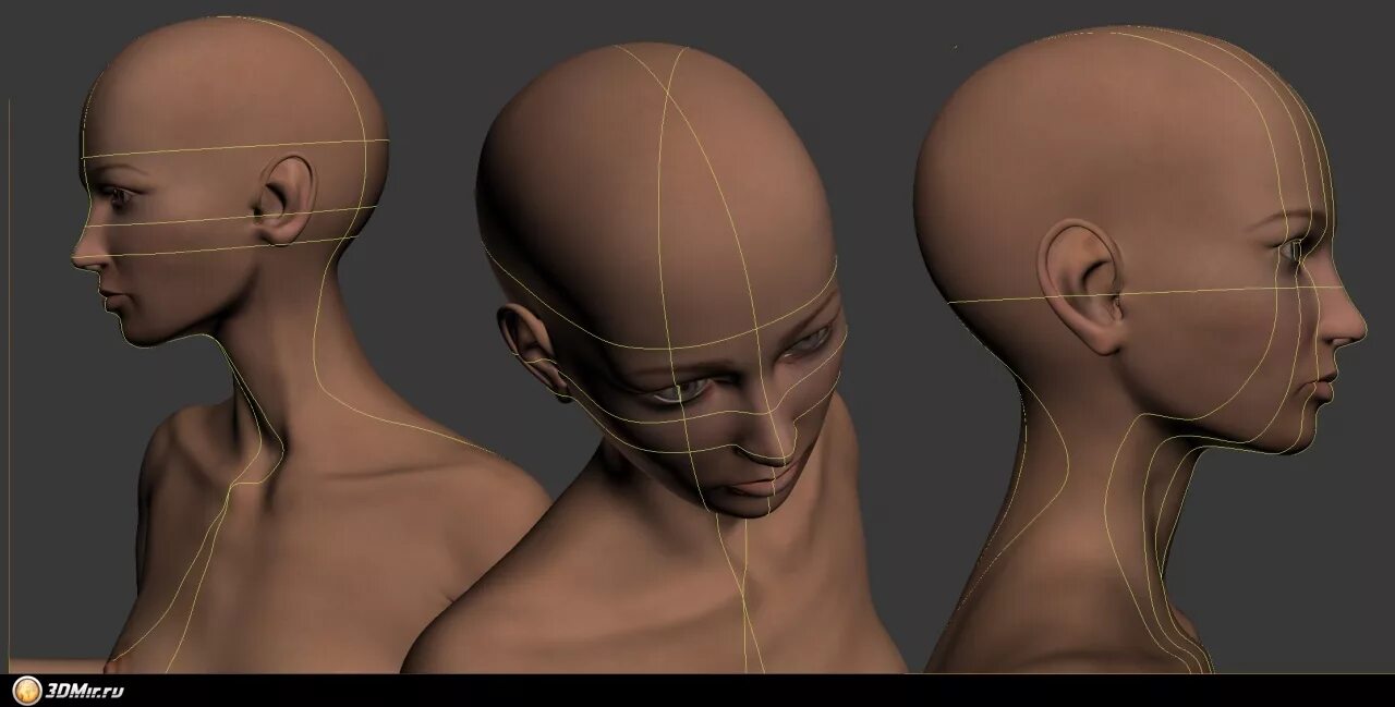 референсы головы девушки. человек в профиль референс. референсы женской головы. голова в разных ракурсах. женское лицо в разных ракурсах.