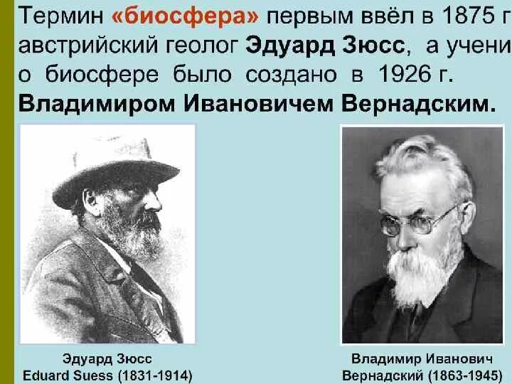 Ученый предложивший термин биосфера. Эдуард зюсс биосфера. э. зюсс и вернадский. эдуард зюсс учение о биосфере. эдуард зюсс ввел термин биосфера.