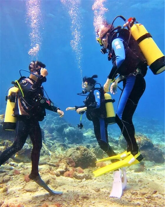 Aqua lung акваланг. Акваланги отзывы. Дайвинг в египте хургада. Акваланги отзывы. Акваланг для дайвинга.