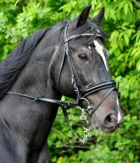 De cheval