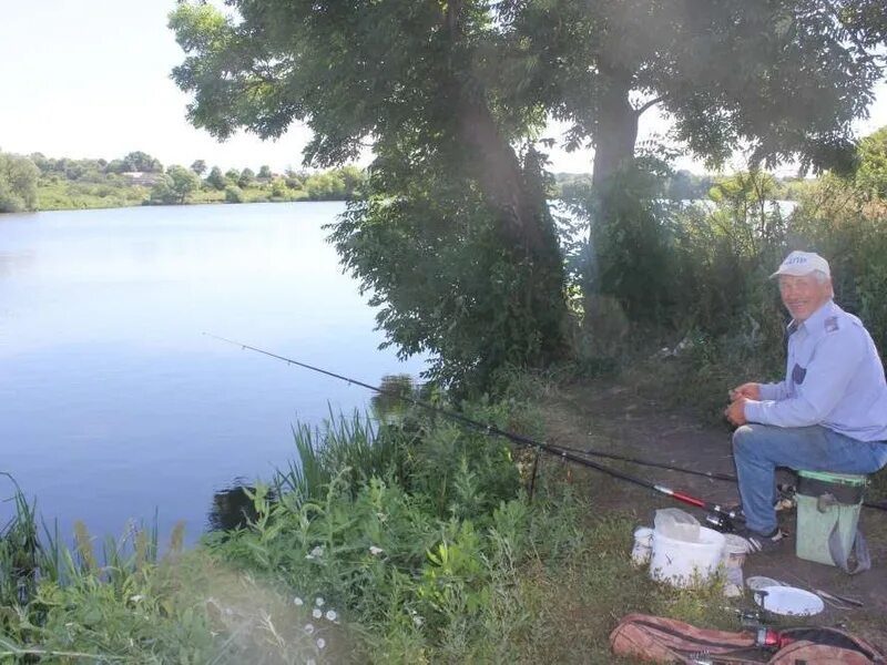 Рыбалка в сергиевском районе клевое. Пруд село Оркино. Колхозный пруд. Куркинский пруд рыбалка. Пруд в Сергиевском.