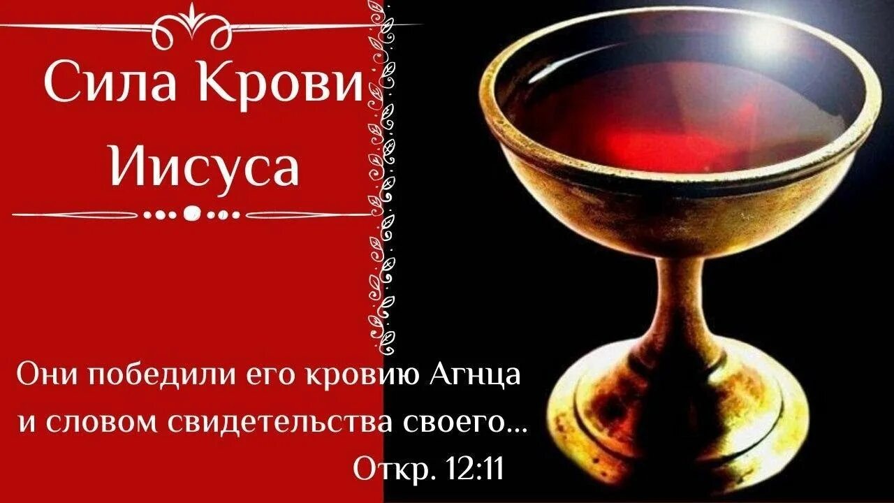 Кровоточащая сила. Кровь христа избавляет от греха. Сила кровь иисуса христа. Семь пролитий крови иисуса христа. Ионня сила кров и биологических жидкостей.